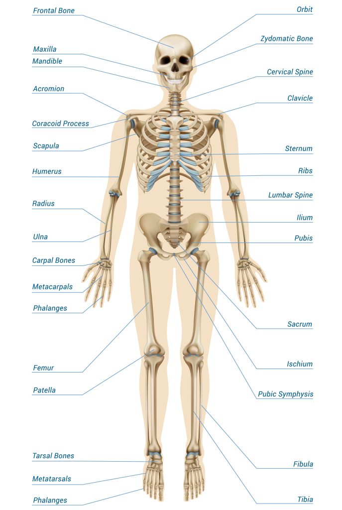 General Science MCQ PDF Download